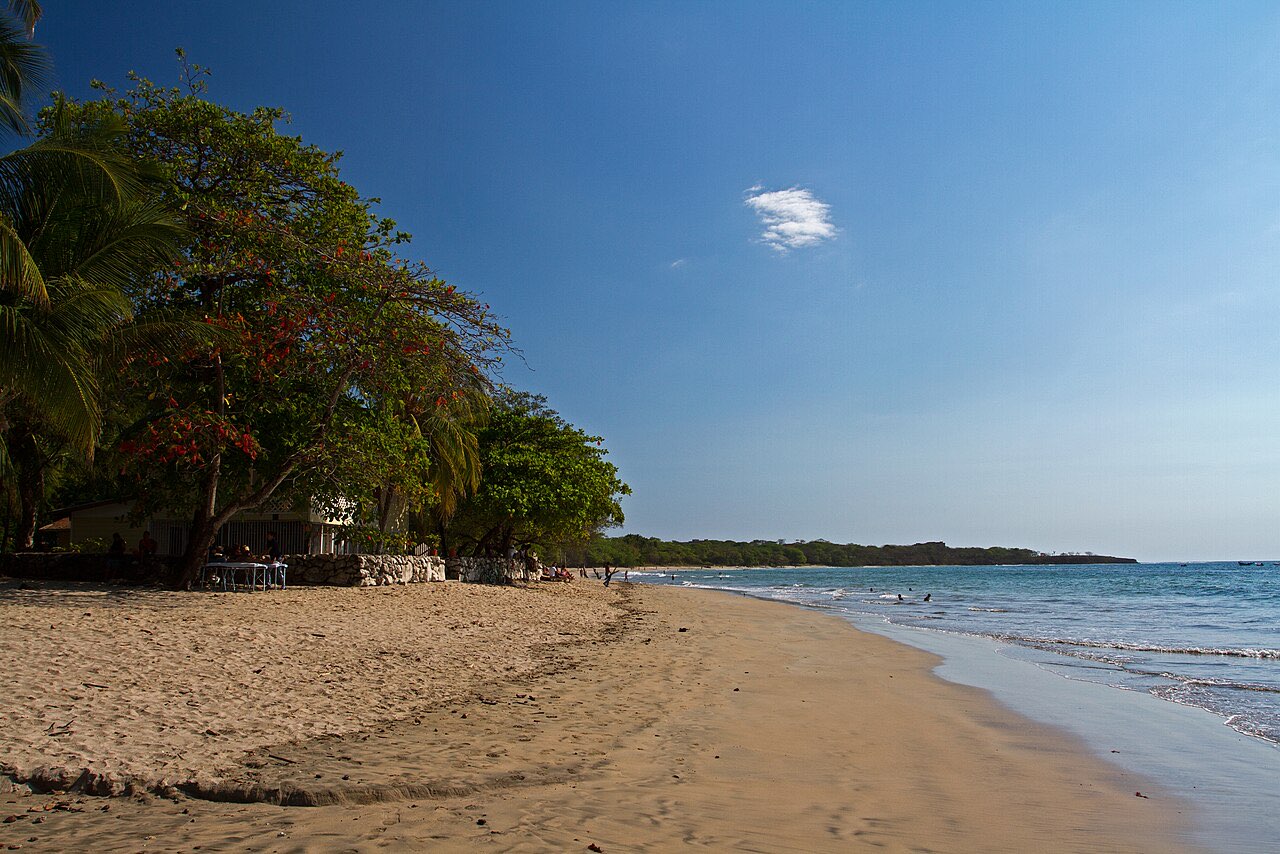 A wide sand beach at Tamarindo backed by trees under a cloudless blue sky
