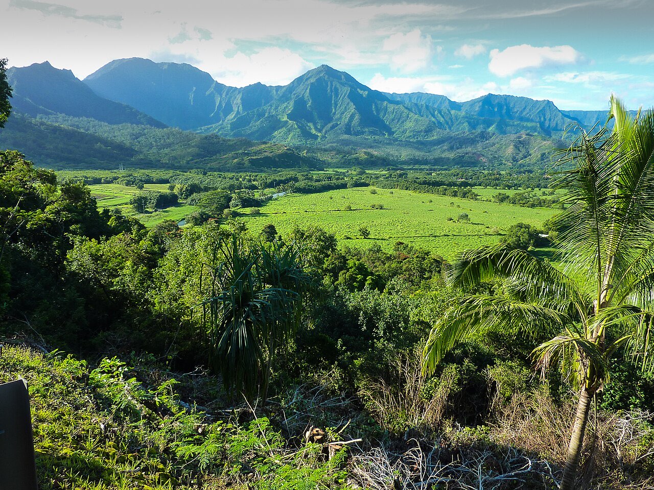 A broad green valley on Kauai backed by steep ridged mountains with scattered cloud above