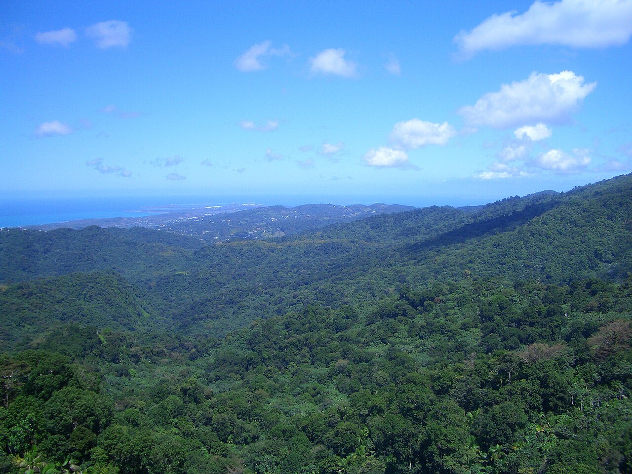 View over forested ridges towards the distant Atlantic coastline from a high point in El Yunque