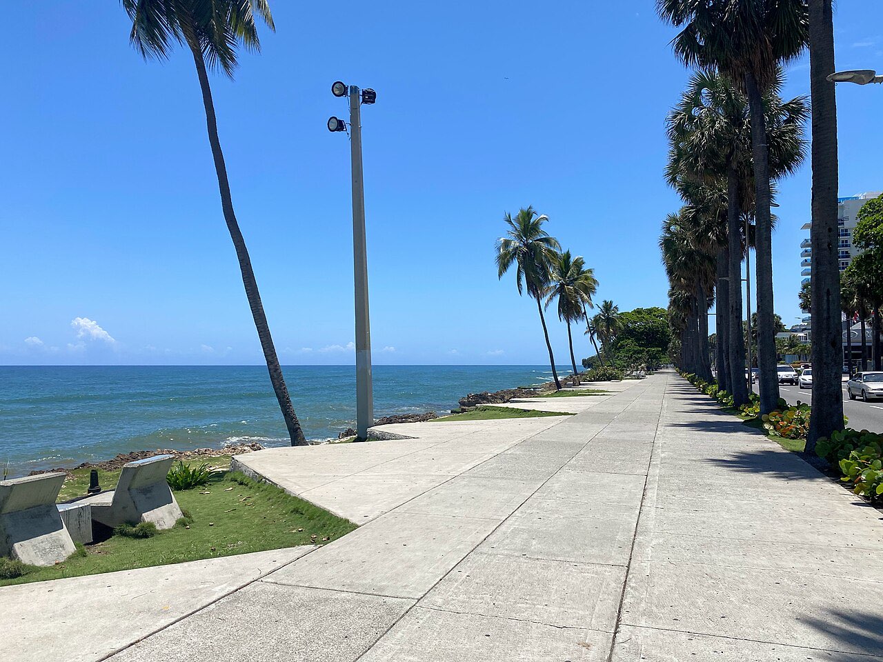 The wide seafront promenade of the Malecon in Santo Domingo lined with palm trees under a clear sky